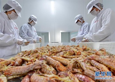 河北曹妃甸 冬日加工海鮮忙 銷(xiāo)售