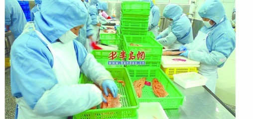 歐美需求激增，青島海產品加工企業全力以赴趕訂單