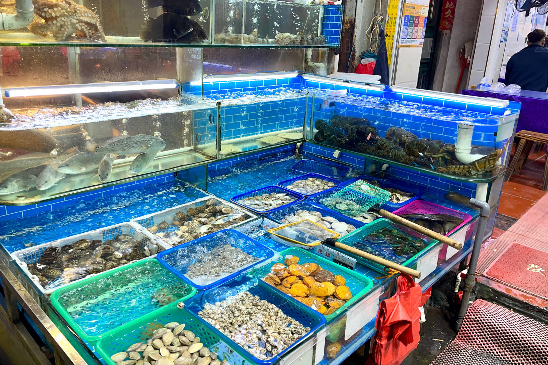 廈門(mén)八市里的珍饈 鑲金包銀養(yǎng)殖巴浪魚(yú)，海鮮加工店的獨(dú)特風(fēng)味