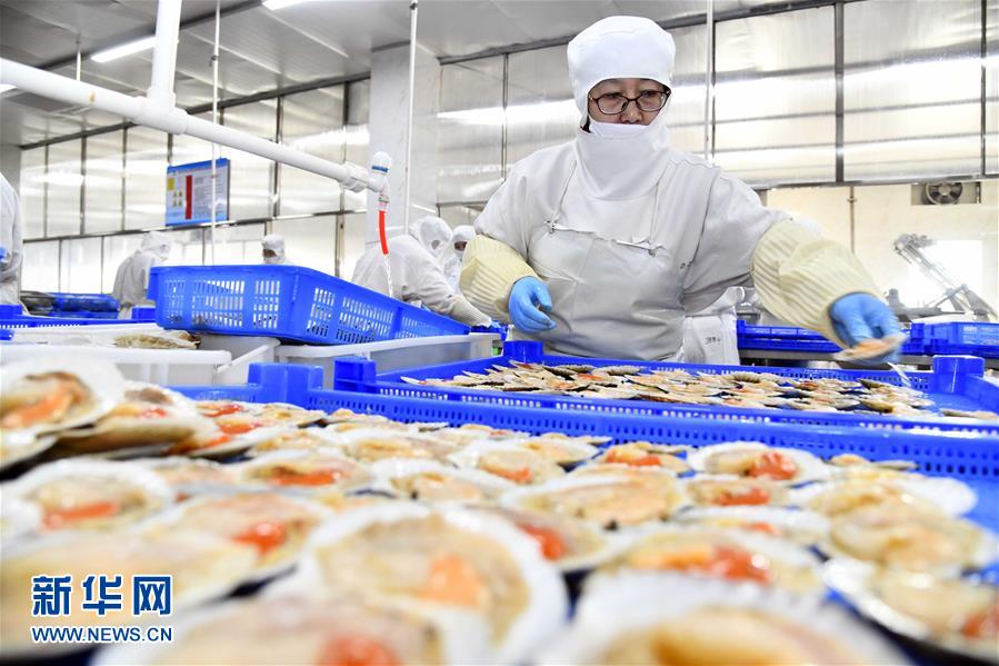 積極發展海洋食品加工產業，構建全產業鏈協同發展新格局