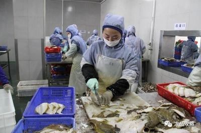 俄羅斯原料主導未來？琿春海產加工業迎來新動力